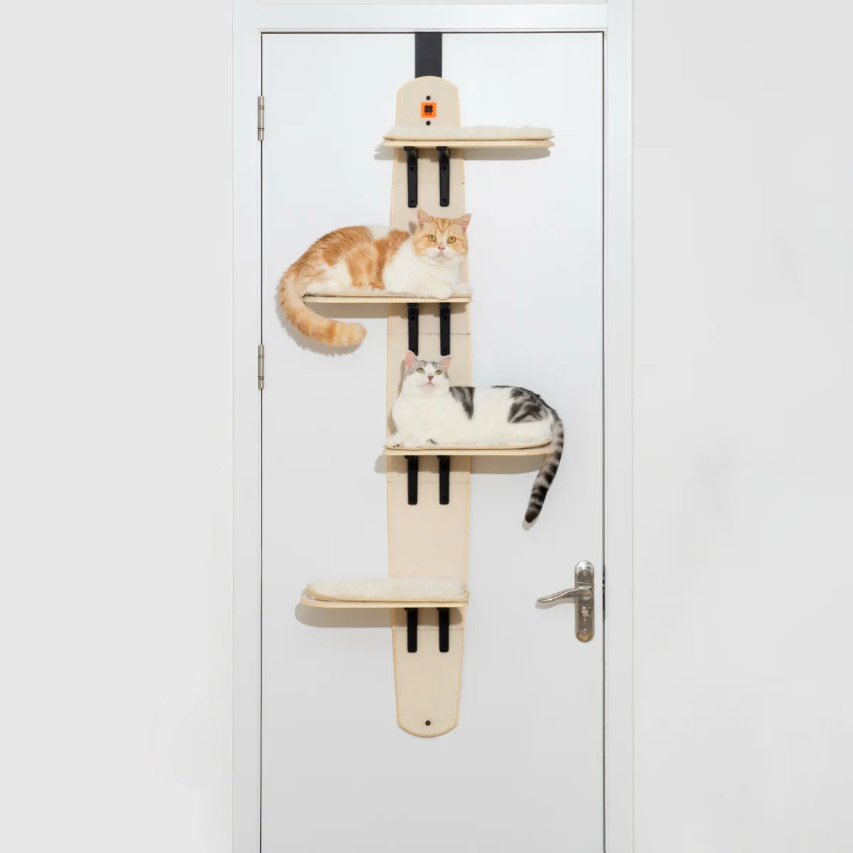 Door Cat Tree